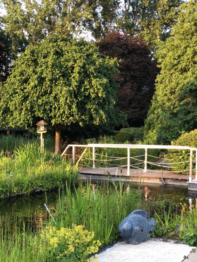 Jardin Du Marais Bed and Breakfast Froyennes Buitenkant foto
